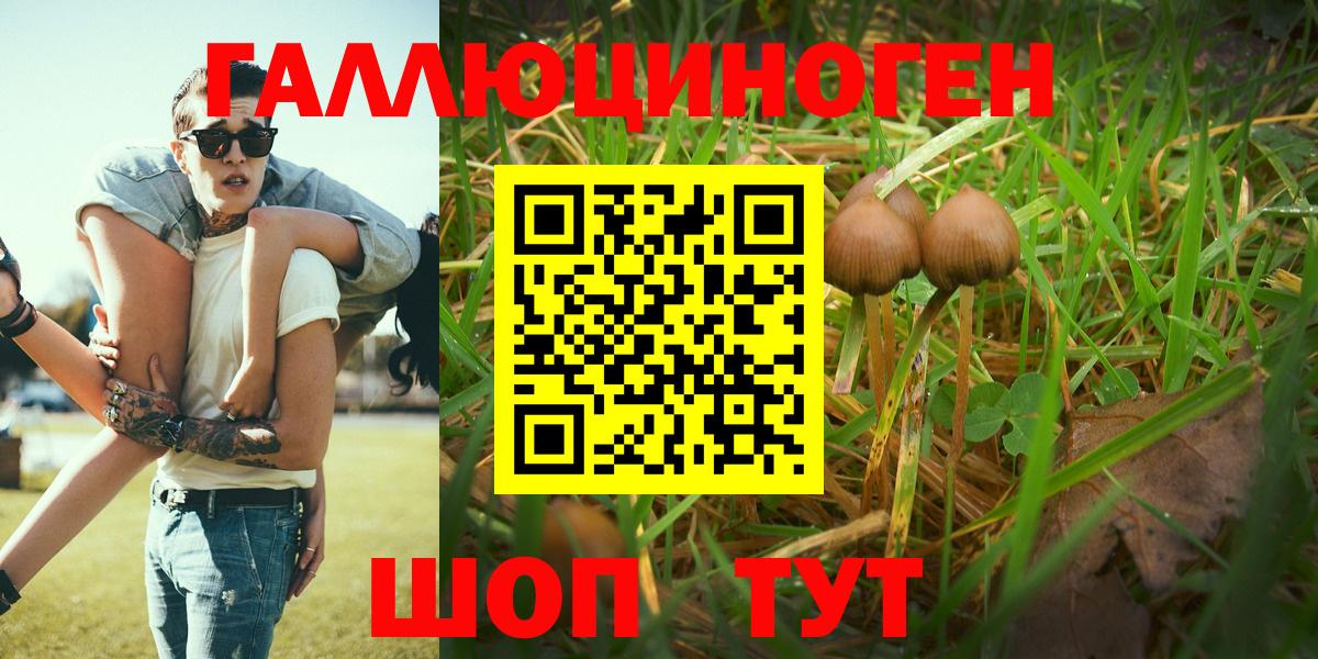 Корсаков  наркотики  Вход с VPN  Псилоцибиновые грибы мицелий 