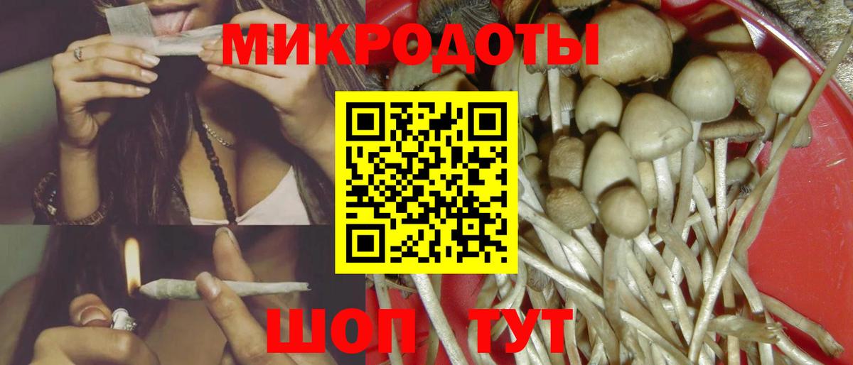 Галлюциногенные грибы MAGIC MUSHROOMS Корсаков